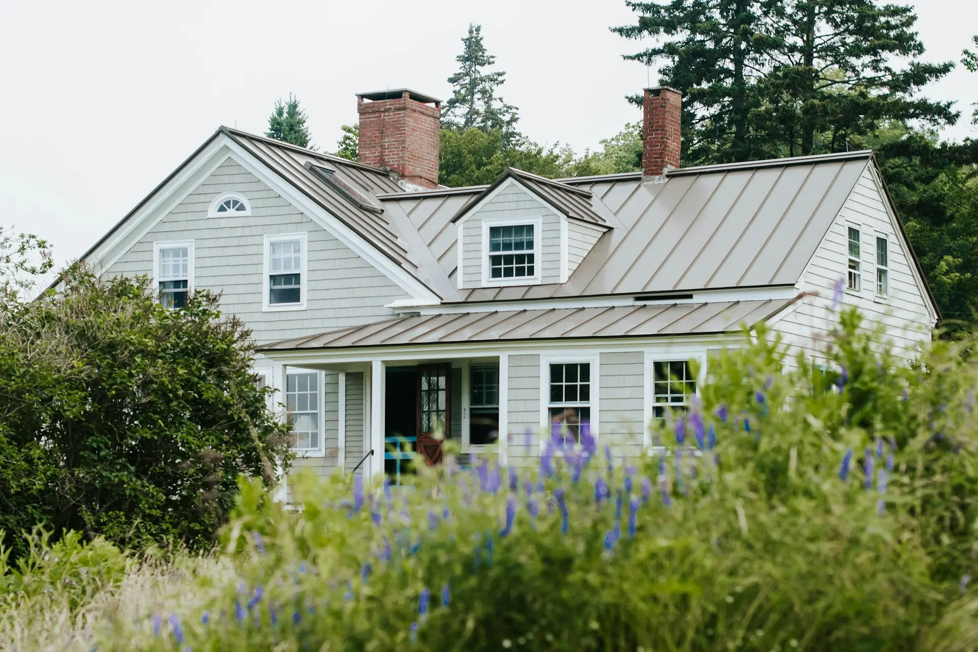 A house in Maine with purple wildflowers in the foreground.
